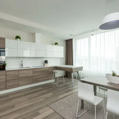 Adani Elysium - photo 3